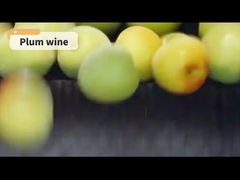 Rượu mơ có độ cồn thấp 720ml Cặp đôi tốt nhất cho Sushi