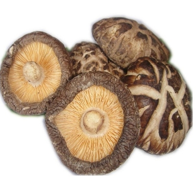 HACCP 1kg Nấm hương khô 3kg Nhật Bản với hương vị thơm ngon