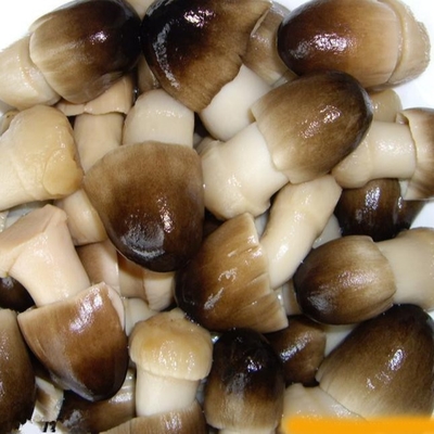 Nguyên liệu tươi tự nhiên Trái cây đóng hộp Rau 425g Nấm nông trại