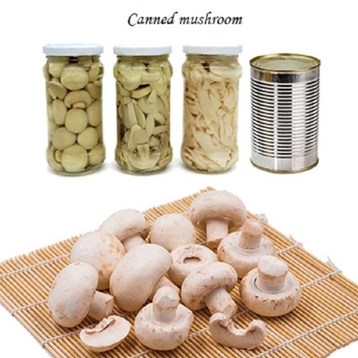 Nấm Champignon Trái cây đóng hộp Rau củ Nấm Champing Lát